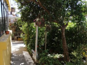 Se vende céntrica casa de 1 piso Quilpué a pasos Estación Metro El Sol.-