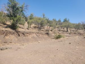 Terreno en Chacayes