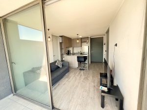 Arriendo Depto 2D2B Estac Y Bodega Excelente ubicación Macul