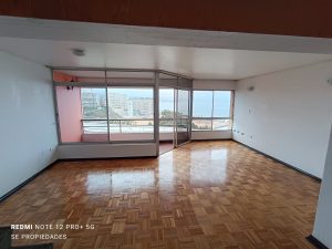 Vendo amplio Depto. Dúplex 2D-2B-1E en Cond. Anakena, Viña