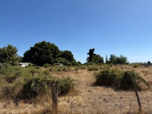 Parcela en venta, Rinconada de Cato