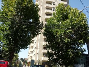 Fernandez Albano - Gran Avenida