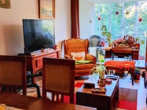 Hermoso Departamento en Puerto Varas.