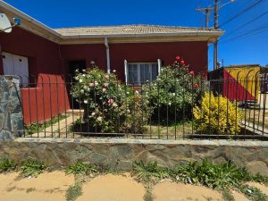 Calle Carrera, Pichilemu