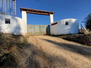 Se venden Parcelas de 5.000 m2 en Pumanque, sector La Gloria