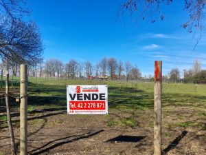 Parcela de 7.000 m2. en venta camino Nahueltoro, San Carlos