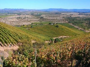 Gran oportunidad en Marchigue - Parcela de 5.000 m2