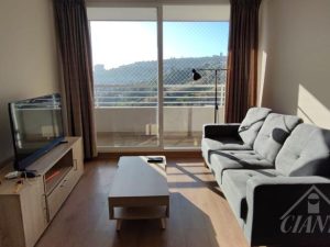 Arriendo Depto Amoblado frente UTFSM Viña del Mar