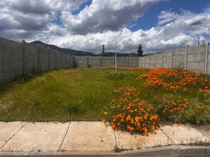 Loteo el Polo, Machalí